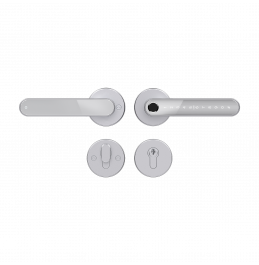 Home Fast SILVER