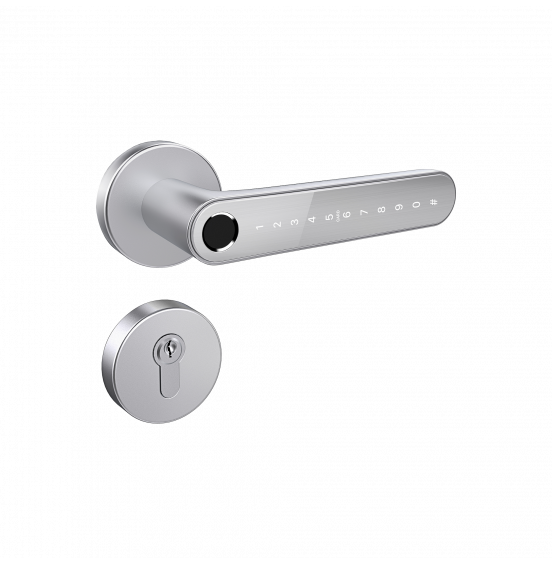 Home Fast SILVER