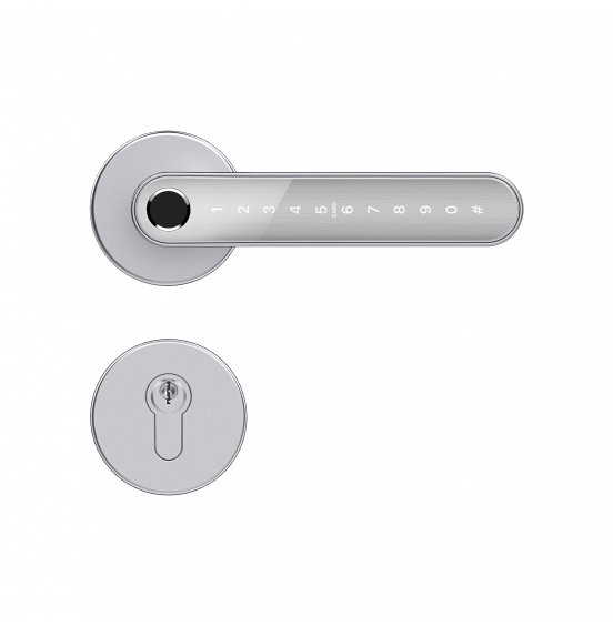 Home Fast SILVER